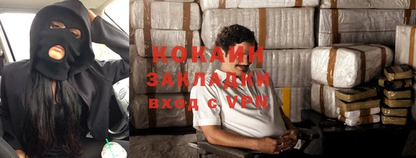 спиды Бикин