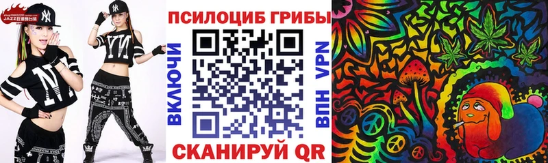 Псилоцибиновые грибы Cubensis  что такое   Рошаль 